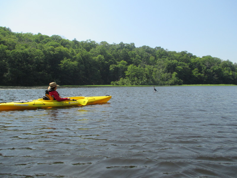 Boston Kayaker Kayaking on Salmon River in East Haddam CT