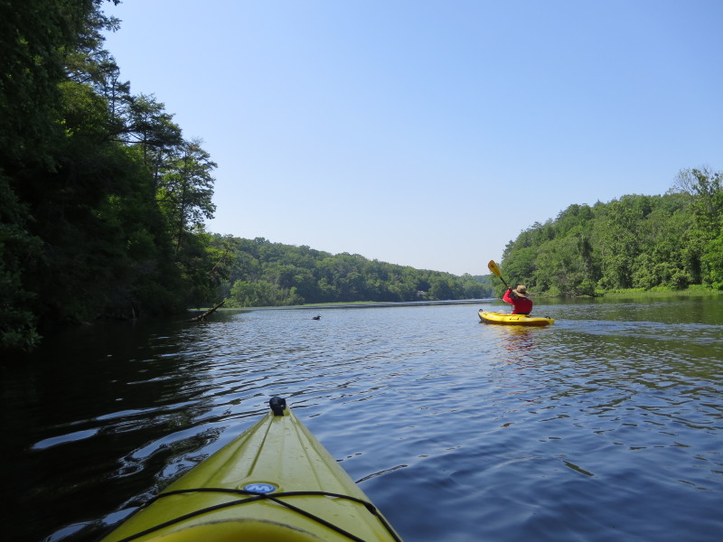 Boston Kayaker Kayaking on Salmon River in East Haddam CT