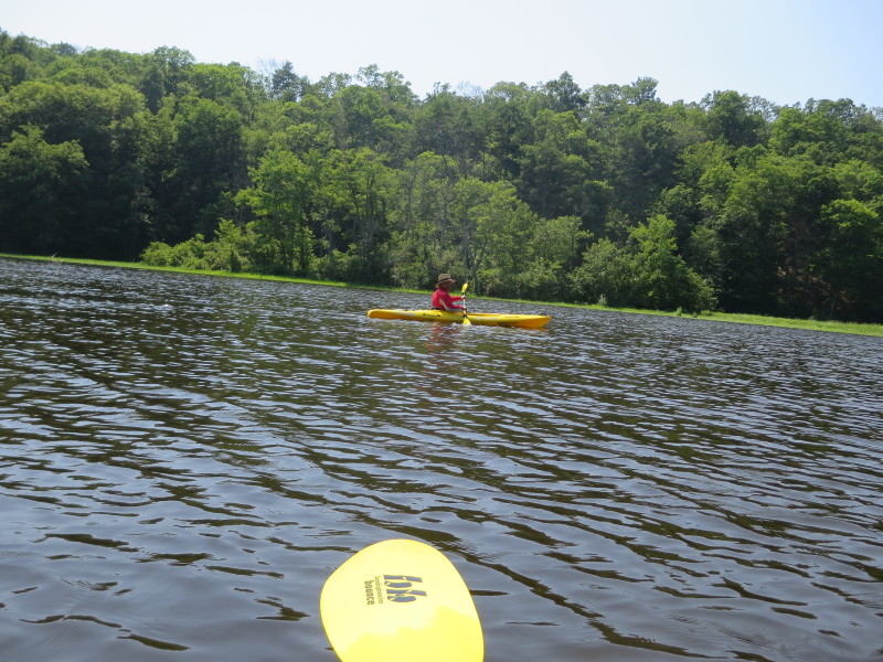 Boston Kayaker Kayaking on Salmon River in East Haddam CT