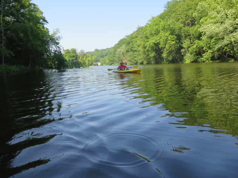 Boston Kayaker Kayaking on Salmon River in East Haddam CT