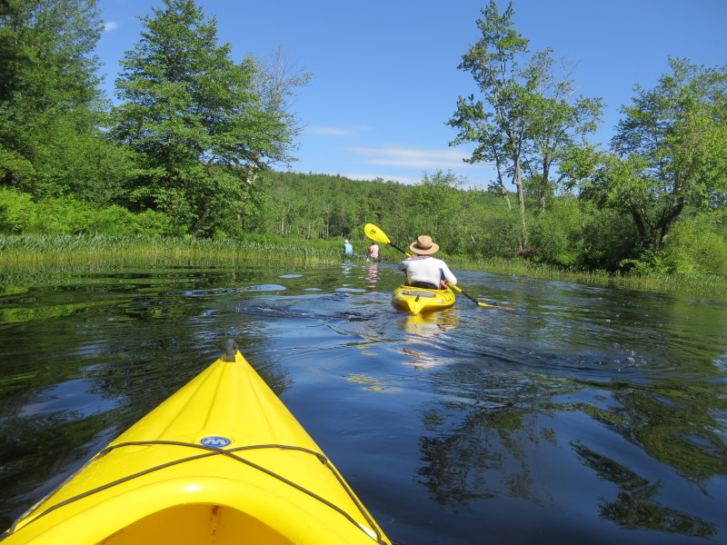 Boston Kayaker Kayaking on Tully Lake, Tully River and Long Pond in Royalston MA