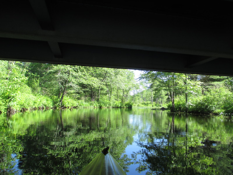 Boston Kayaker Kayaking on Tully Lake, Tully River and Long Pond in Royalston MA