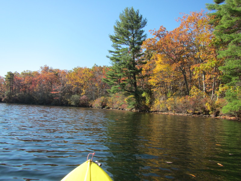 Boston Kayaker Kayaking on Wallum Lake in Douglas MA