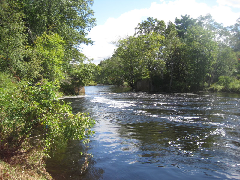 Boston Kayaker Kayaking on Ware River from Barre Plains MA to