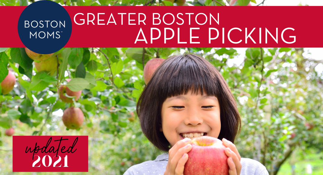 12 PickYourOwn Apple Orchards Near Boston