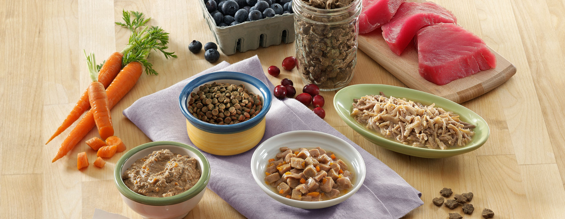 Meet Camelle Kent of WellPet in Tewksbury Boston Voyager Magazine