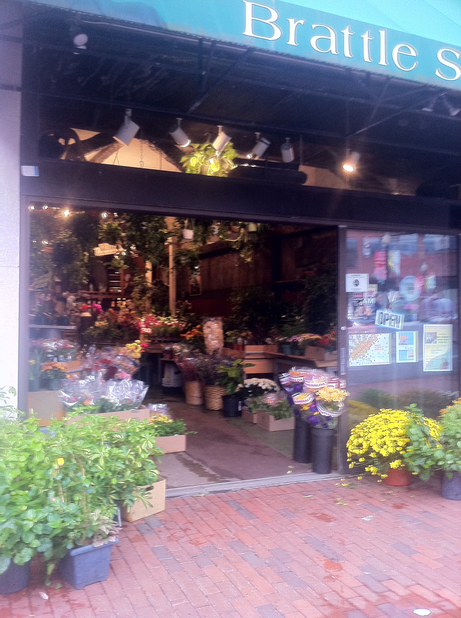 My favorite flower shop ) Boston Walnuts
