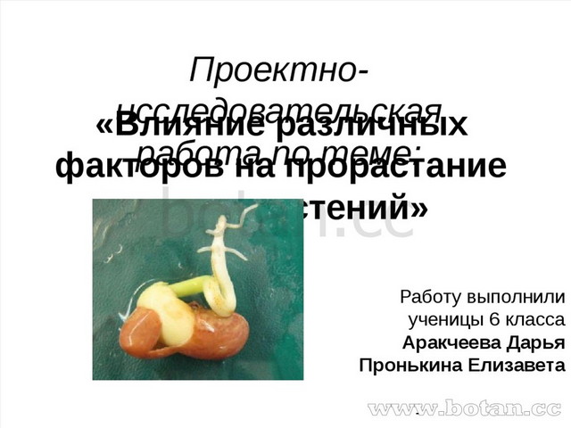 Проектноисследовательская работа по биологии на тему Влияние различных