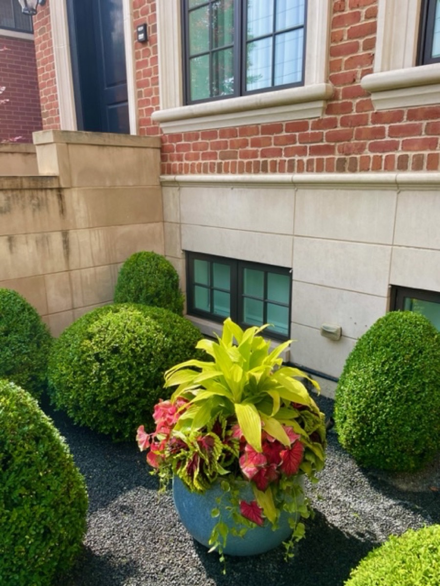 Family Tradition Botanical Concepts Chicago