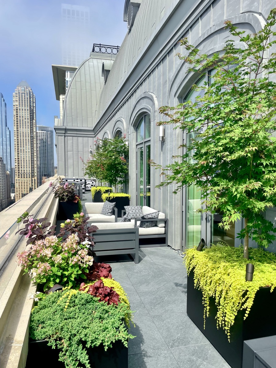 Lakefront Luxury Botanical Concepts Chicago