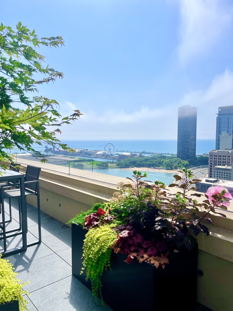 Lakefront Luxury Botanical Concepts Chicago
