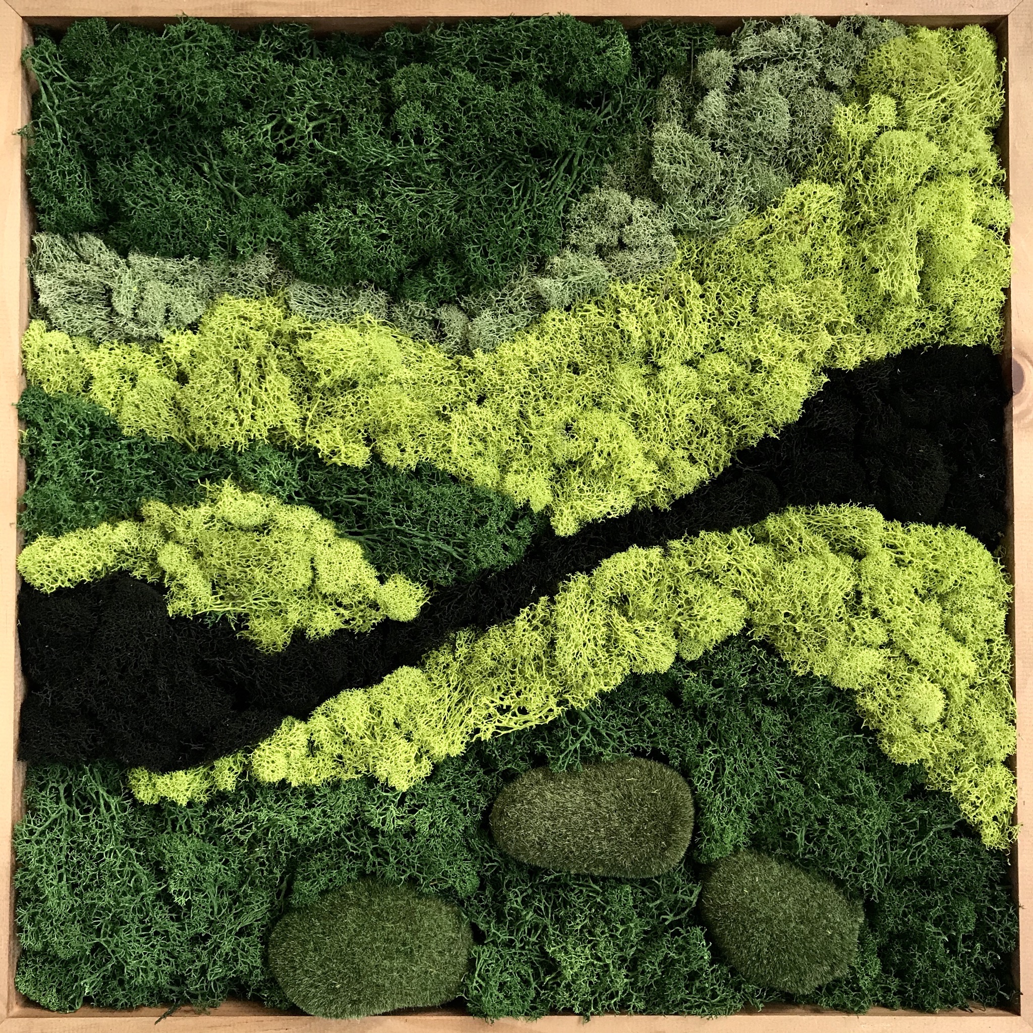 Moss Walls Bring Green to Your Space Botanical Designs