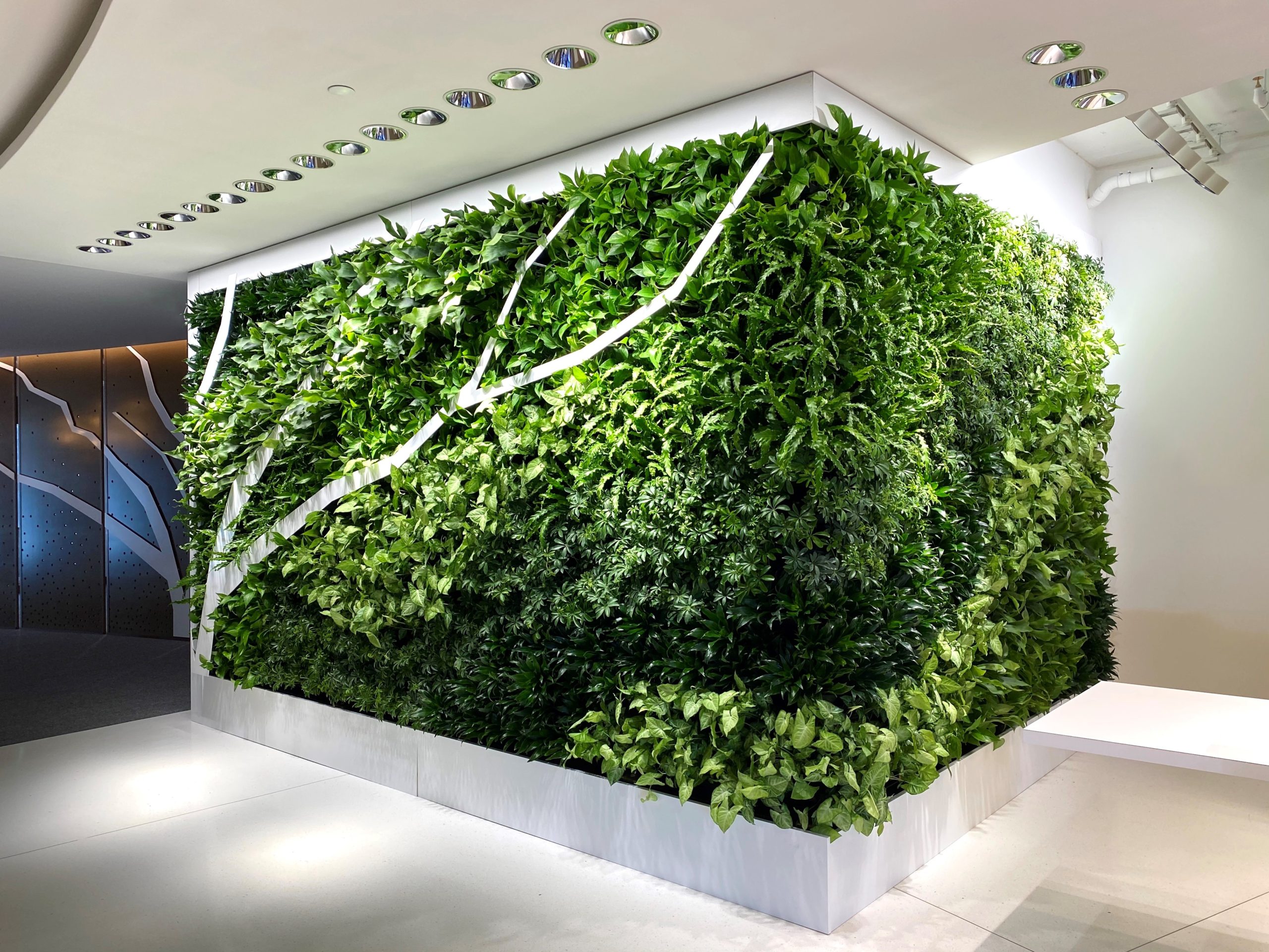 Living Walls Botanical Designs