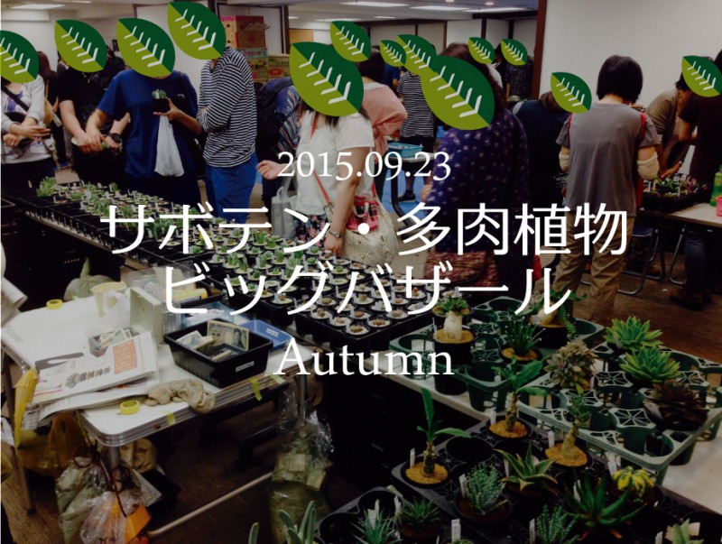 2015年秋の サボテン 多肉植物ビッグバザール へ 五反田tocより