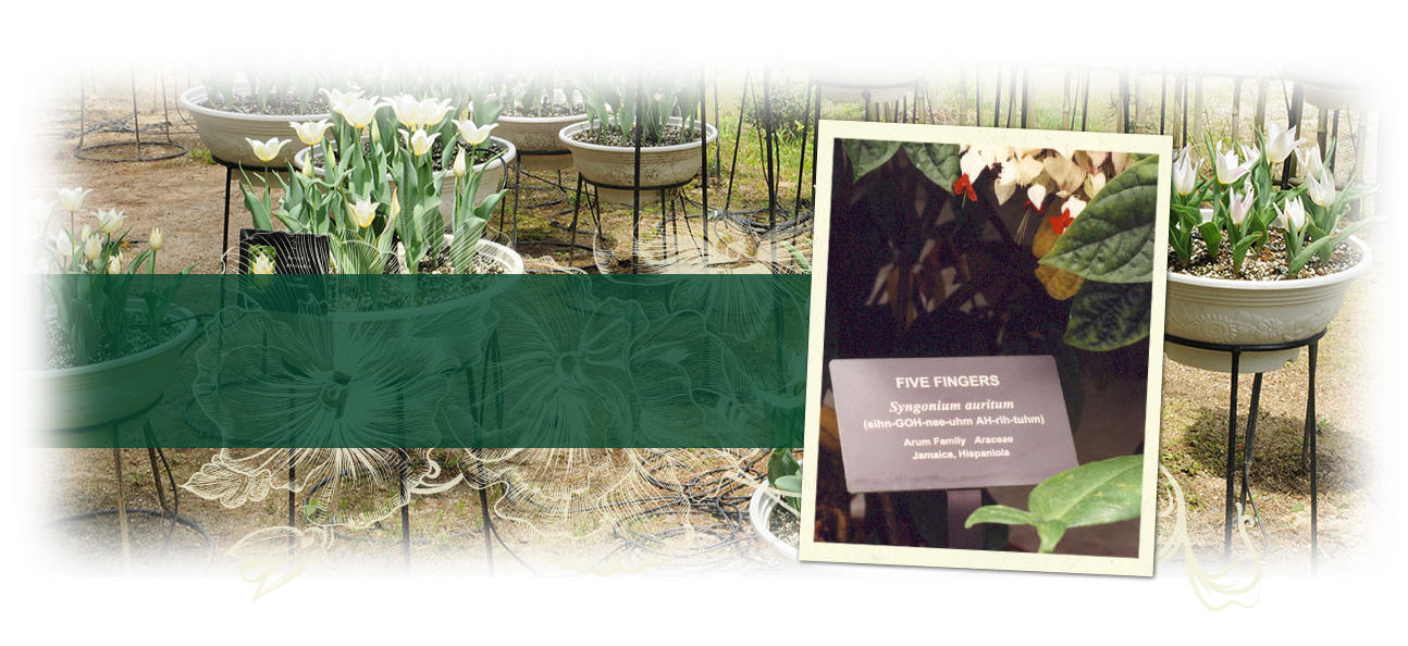 Park Botanical Garden Signs Precision Signs