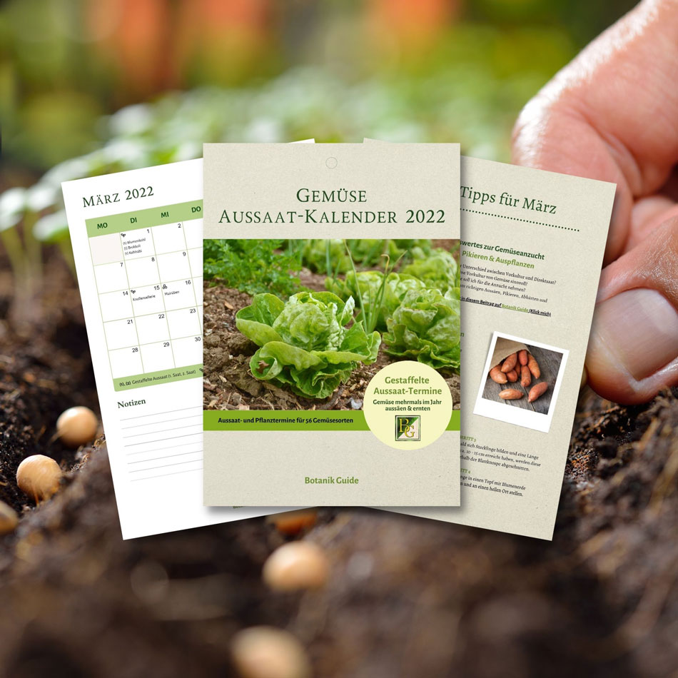 Aussaat-Kalender 2022 - Gestaffelte Aussaat |