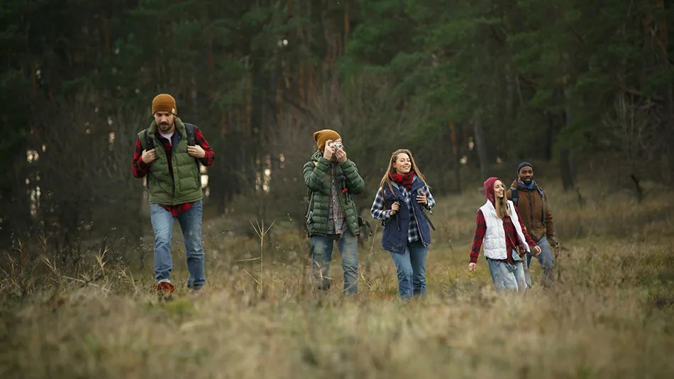Pęd do lasu — jak spacer po lesie wpływa na nasze zdrowie? Blog botaniki
