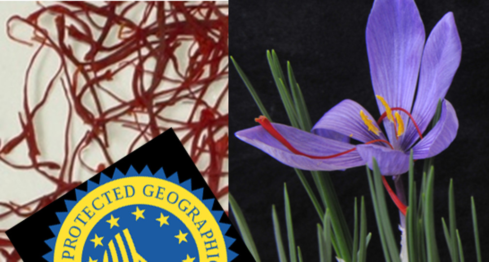 Crocus, saffronomics and the highest value crop « Botany One