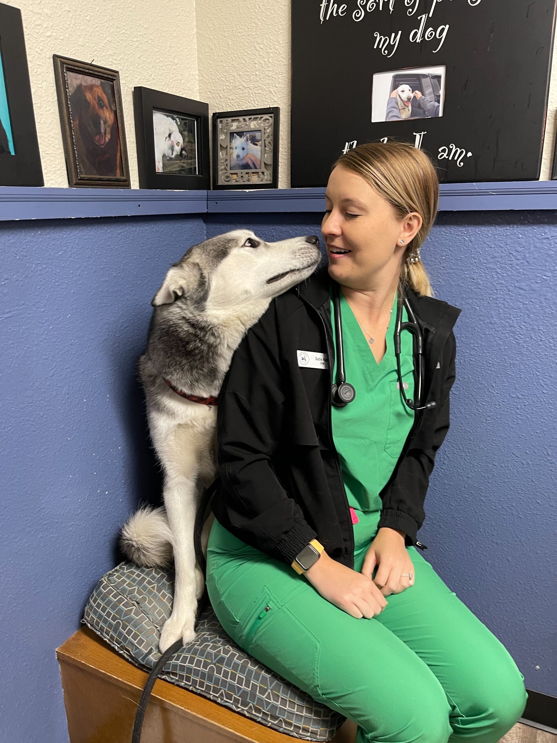 About Us Bothell Pet Hospital Providing Exceptional Veterinary Care