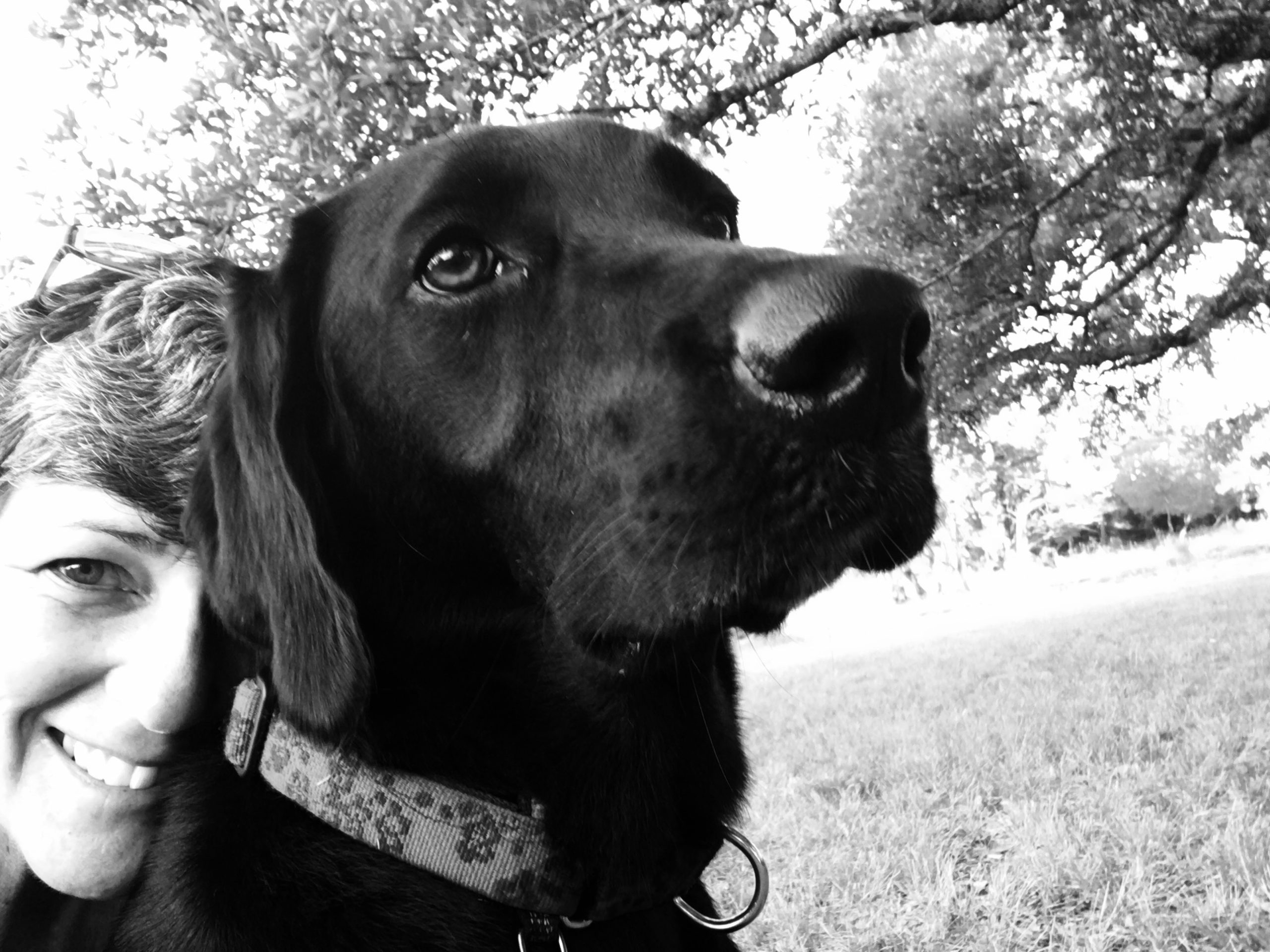 About Both Ends of the Leash, LLC