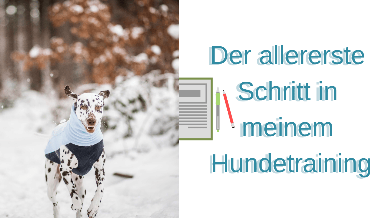 Top Fragen » Bothshunde