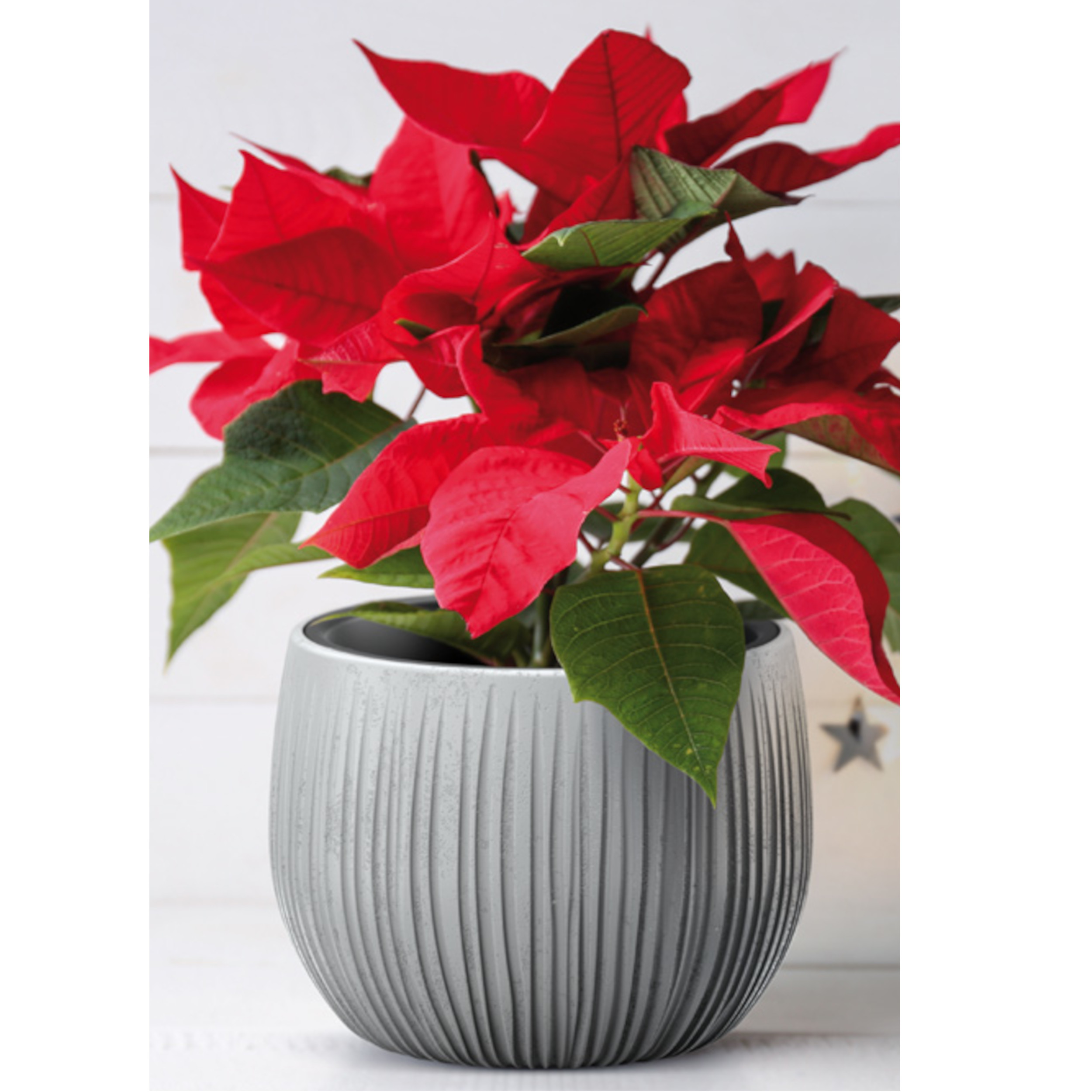 BLUMENTOPF BETONIMITATION MIT Wellendesign + Innentopf 24x16cm Antrazit