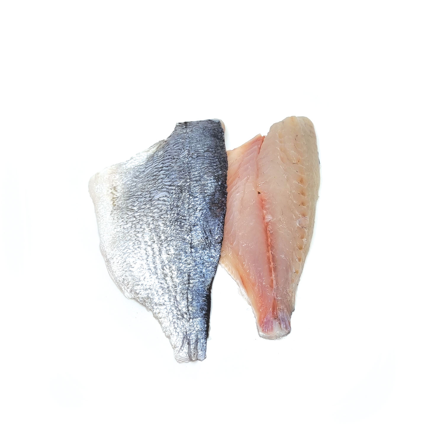 Sea Bream (Awrat) Fillet Bottarga