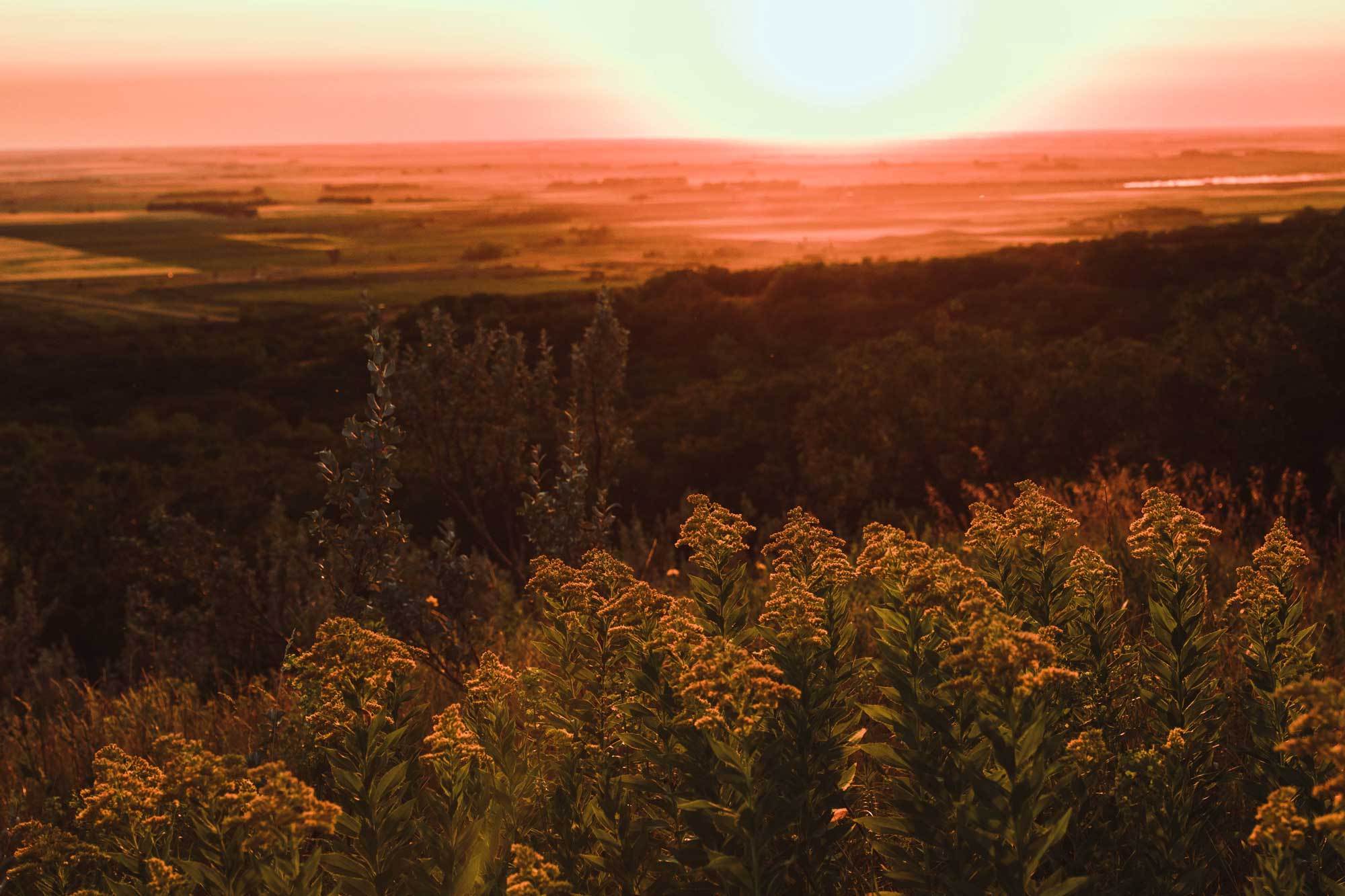 Let’s Play Bottineau, ND