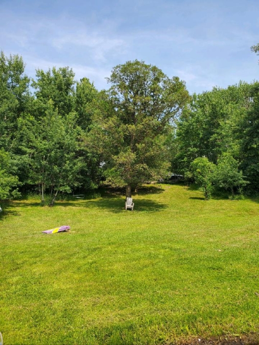 Real Estate Bottineau, ND