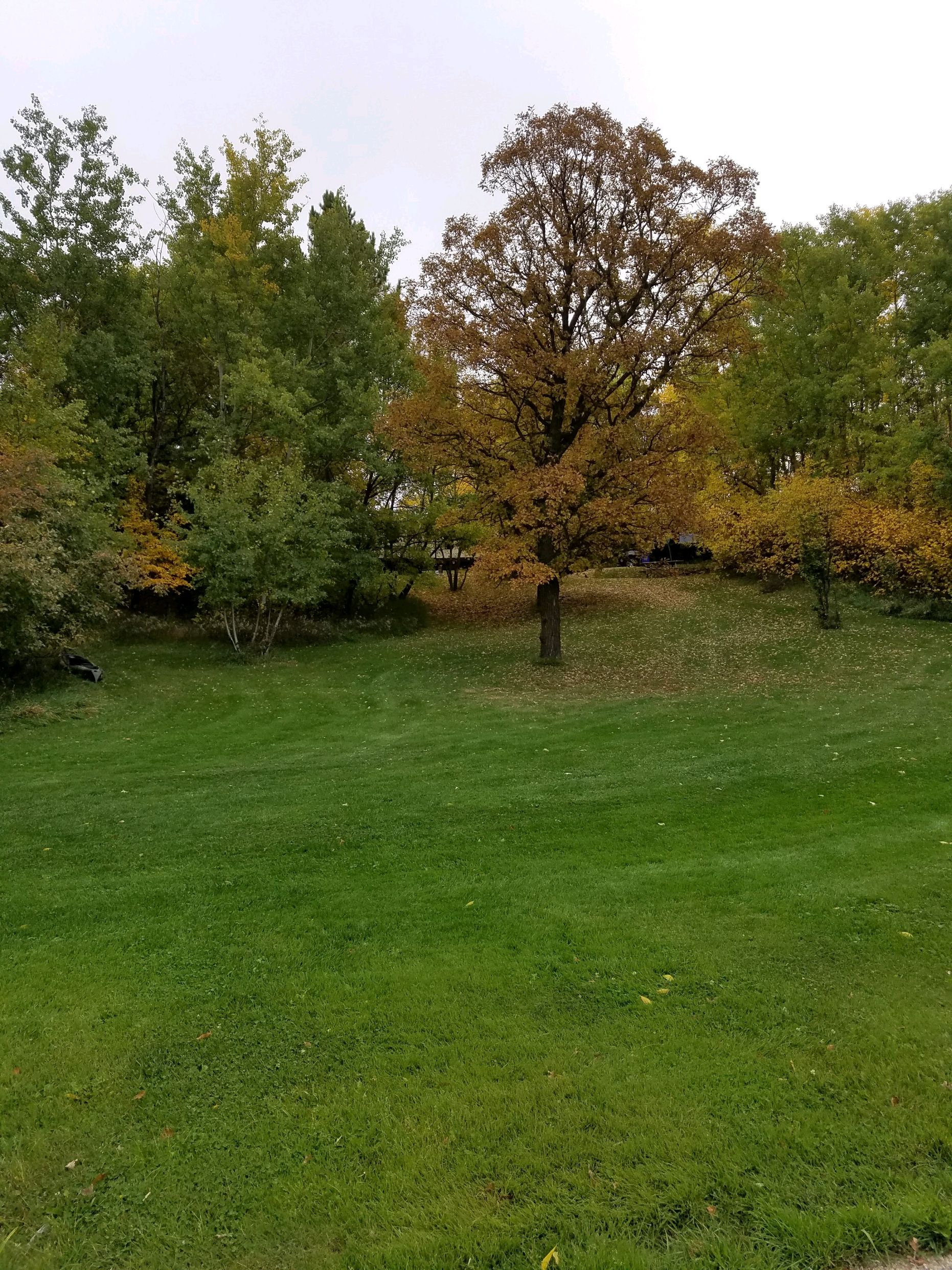 Real Estate Bottineau, ND