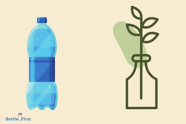 How To Propagate Succulents In Water Bottle? 7 Easy Steps!