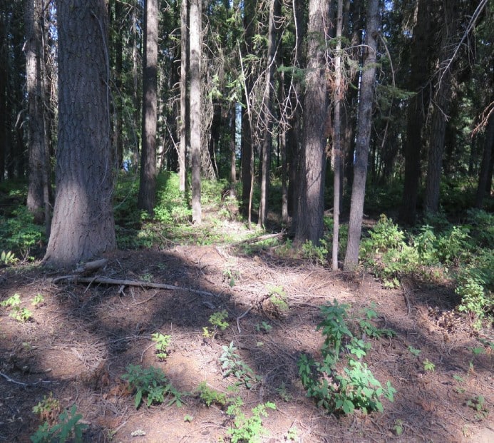 2085 John Alden Road, McCall Bottles Real Estate Auction