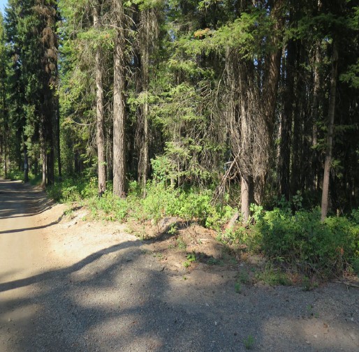 2061 John Alden Road, McCall Bottles Real Estate Auction