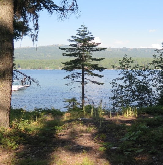 2093 Rainbow Lane, McCall Bottles Real Estate Auction