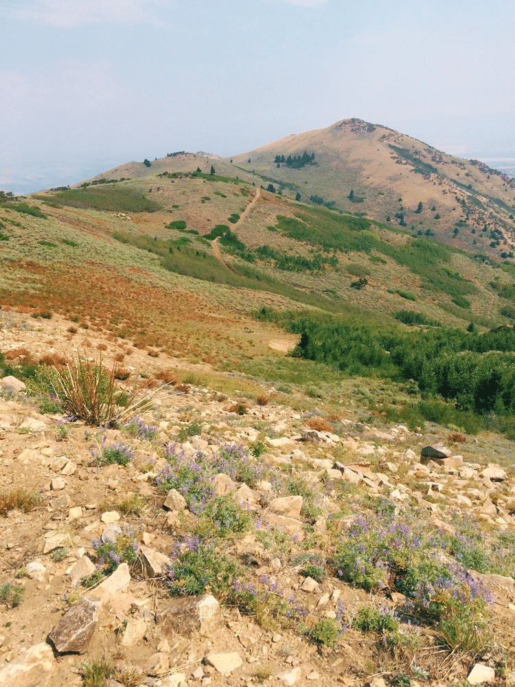 Owyhee Mountain Land Bottles Real Estate Auction