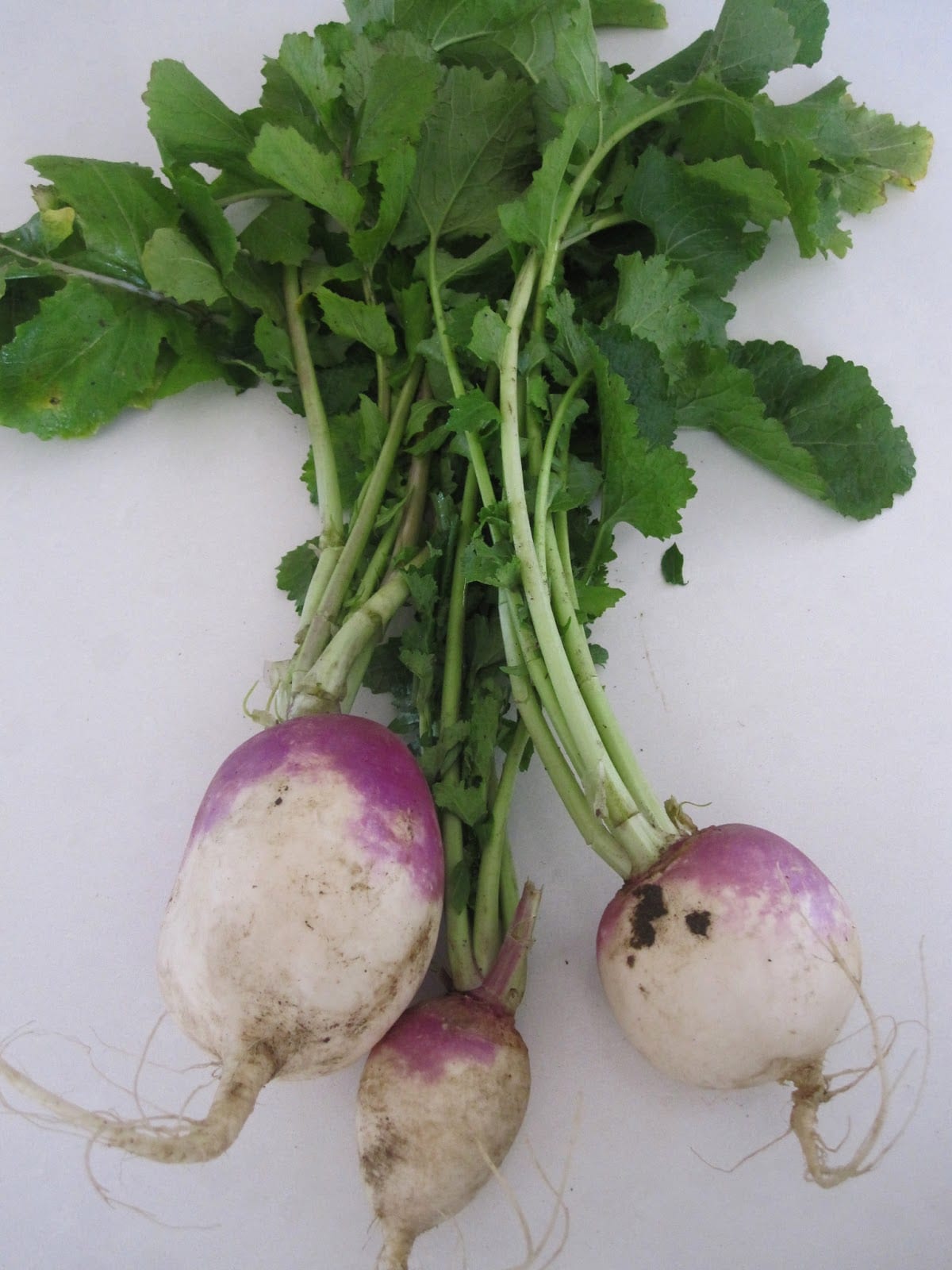 A Turnip Soup Shalgham Naz Deravian