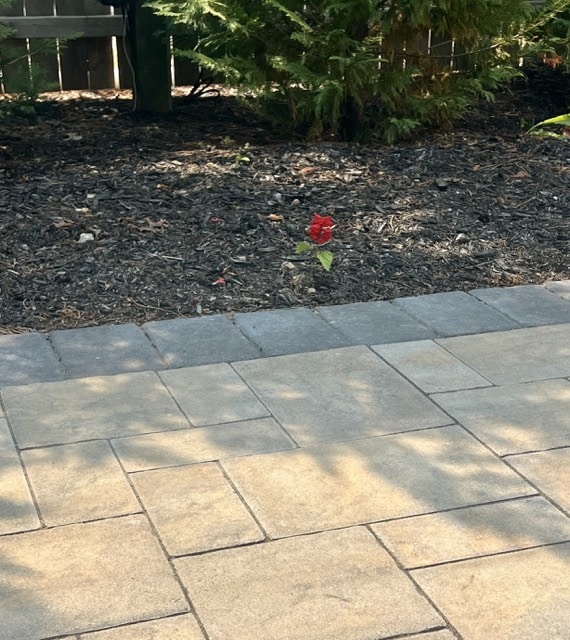 Stamped Concrete vs. Pavers Which is Best?