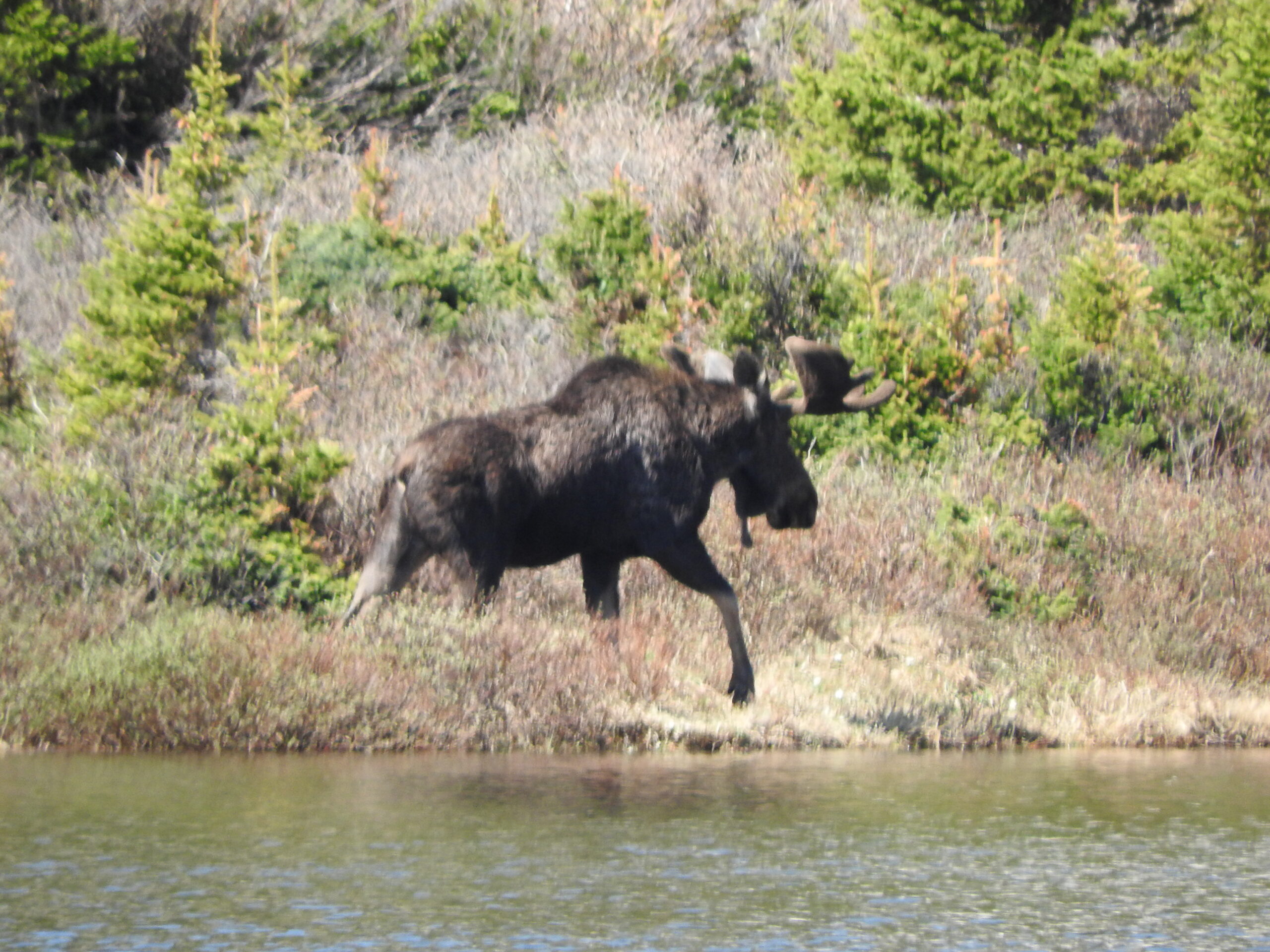 June 2022 Graphical Weather Review A month largely devoid of rainfall despite an early start to