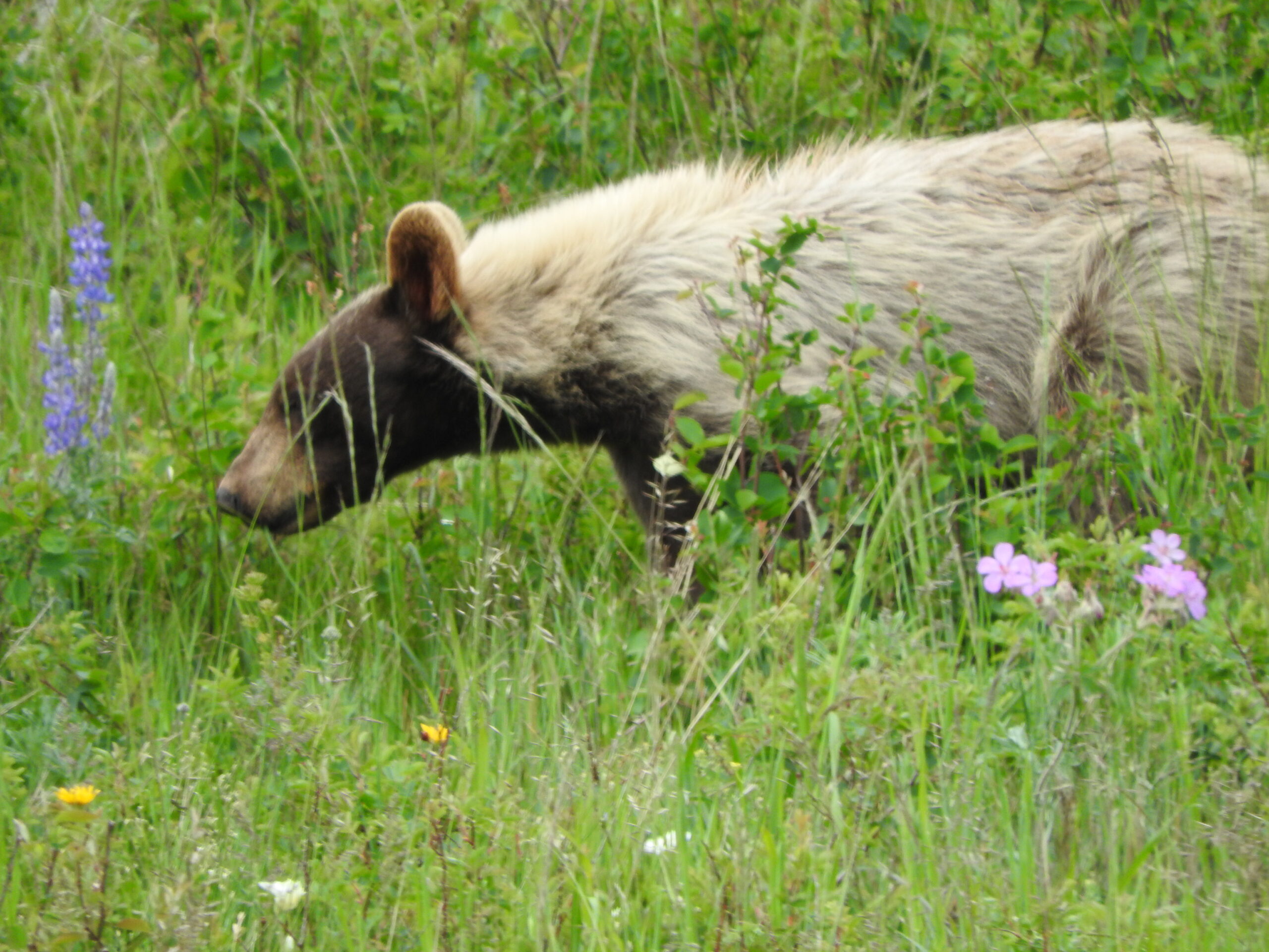 June 2022 Graphical Weather Review A month largely devoid of rainfall despite an early start to