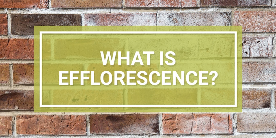 What is Efflorescence? How To Treat, Prevent, & Remove It