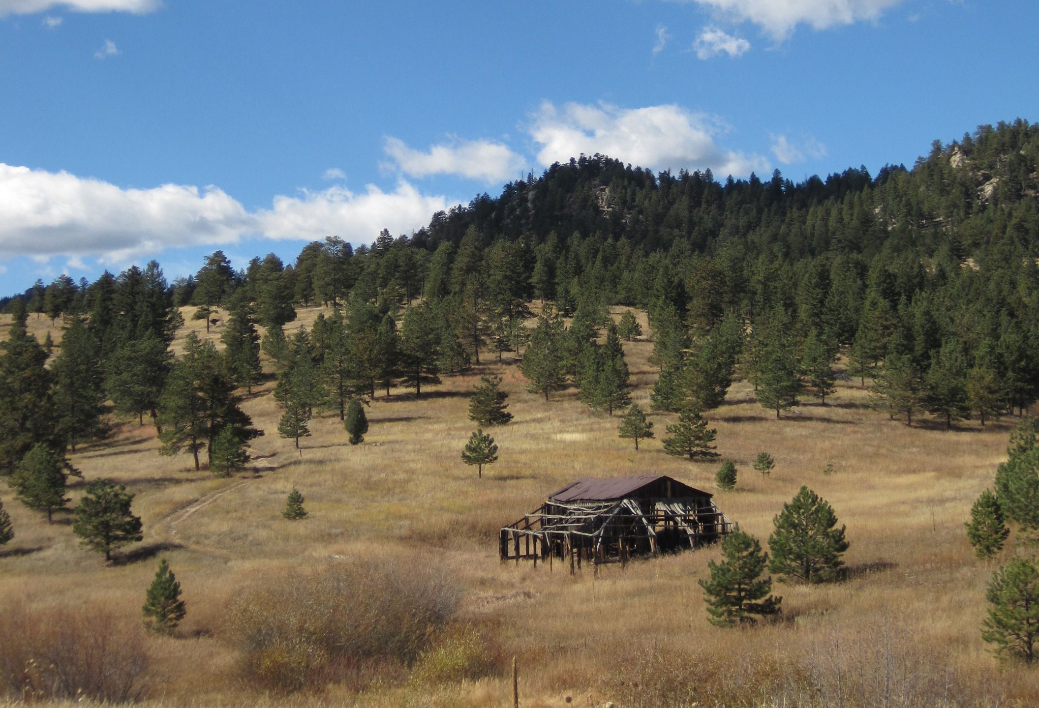 Walker Ranch Fire Mitigation Forestry Project Images