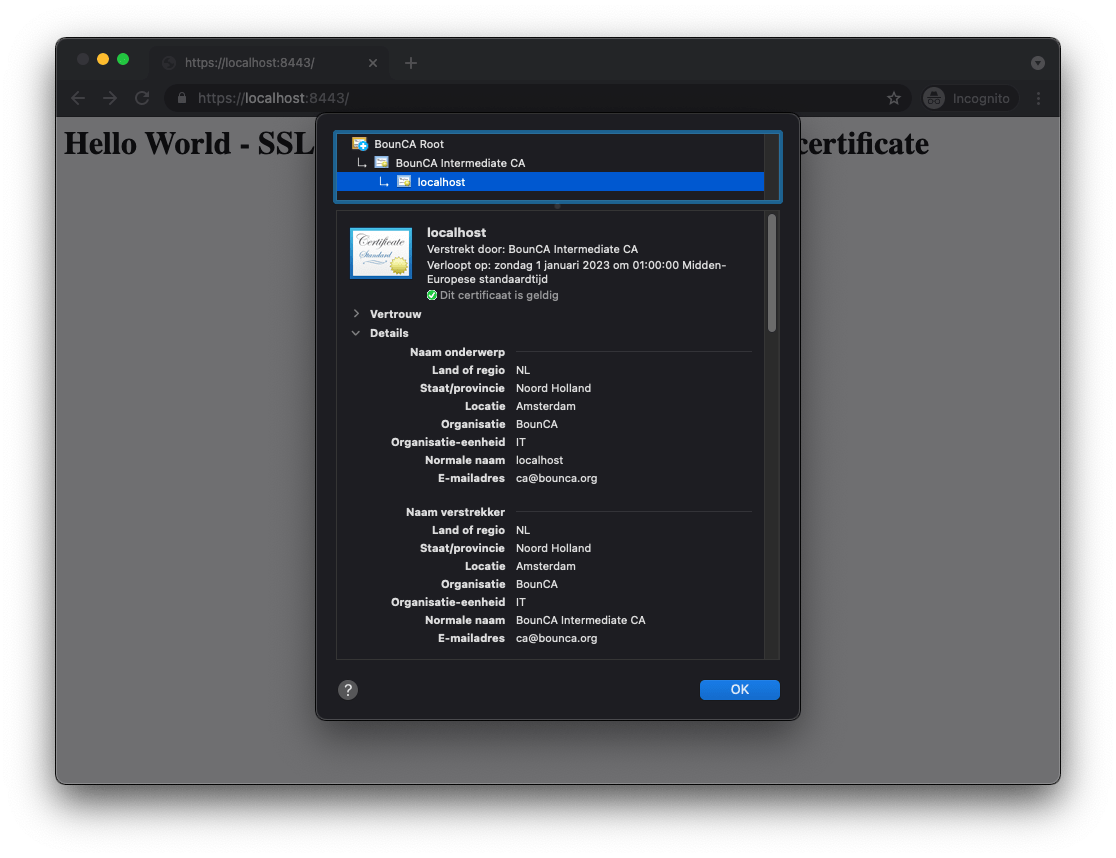Create SelfSigned Server Certificate — generate selfsigned