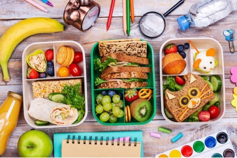 15 Best Kids Lunch Containers for School to Summer Camp
