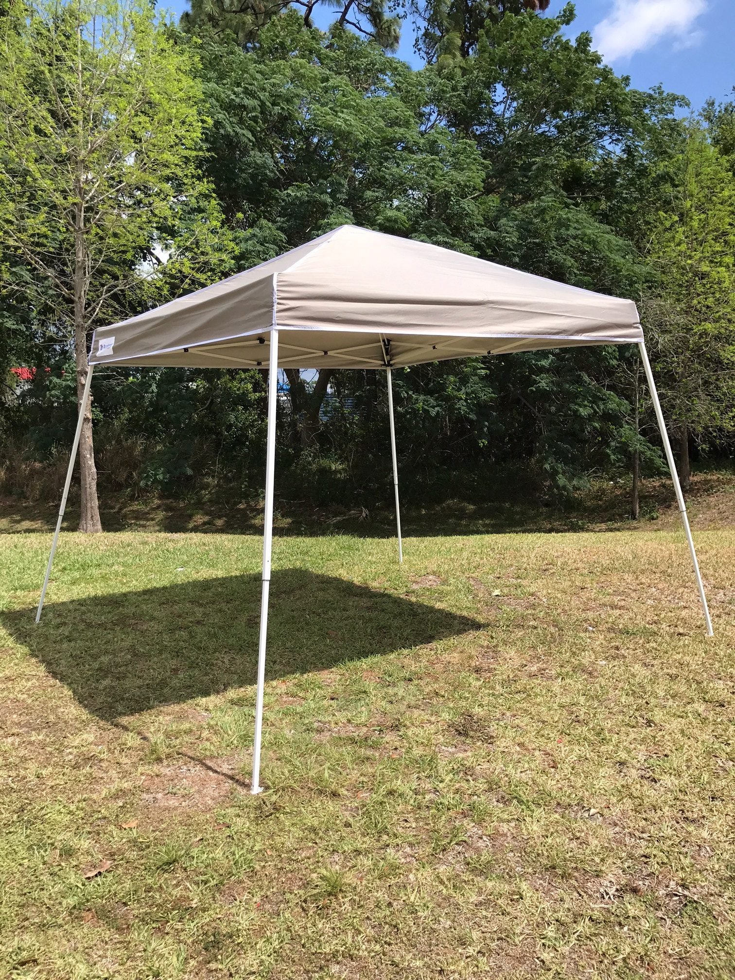 12 x 12 Tent Bouncing Beez
