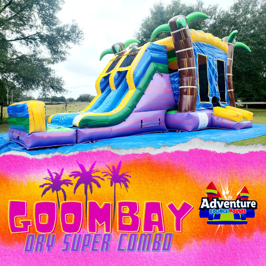 Combo Bouncers Bounce House and Water Slide Rental Ocala FL in Ocala