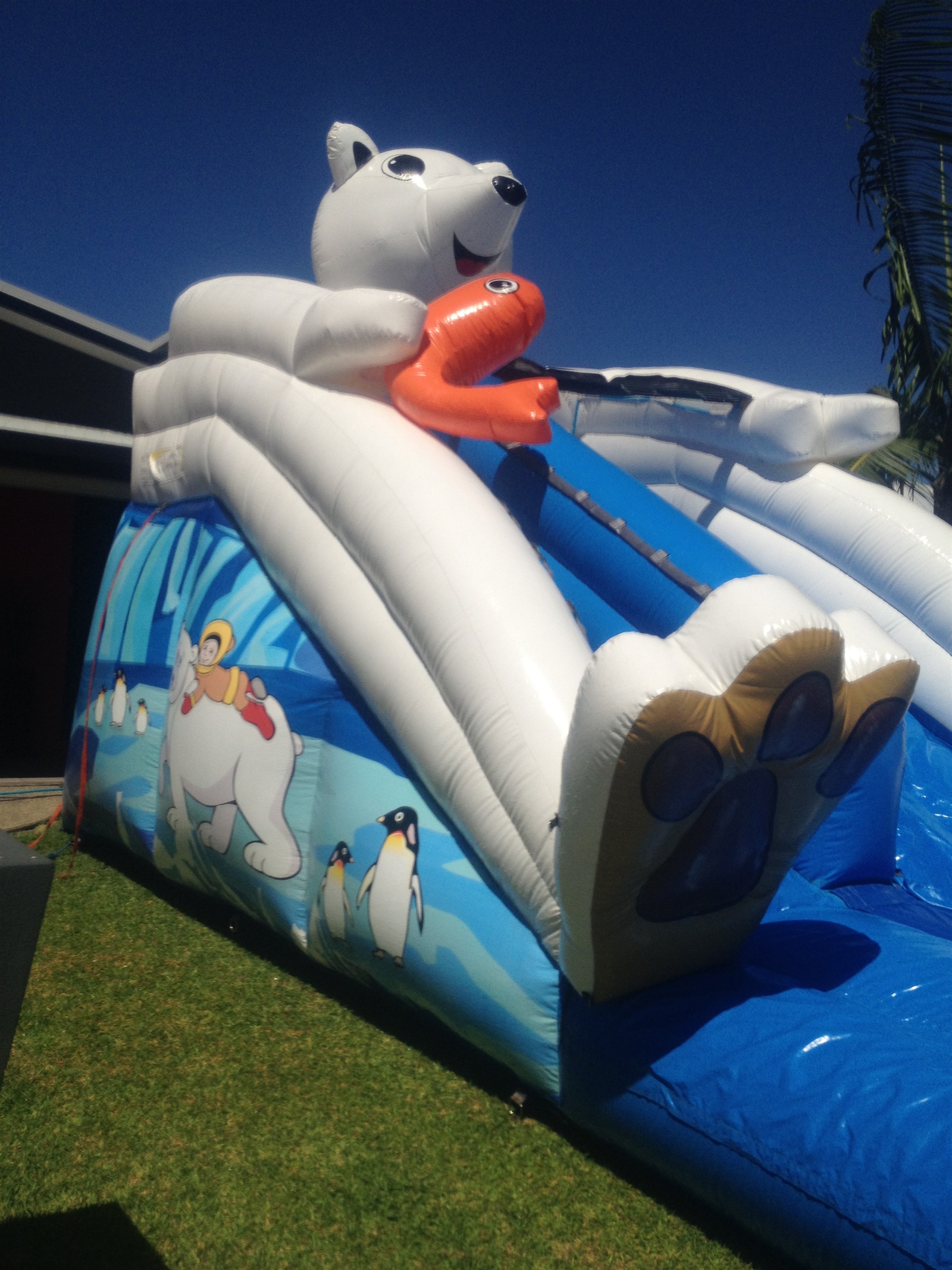 Glacier Medium Water Slide Jumping Castle Hire in Mackay