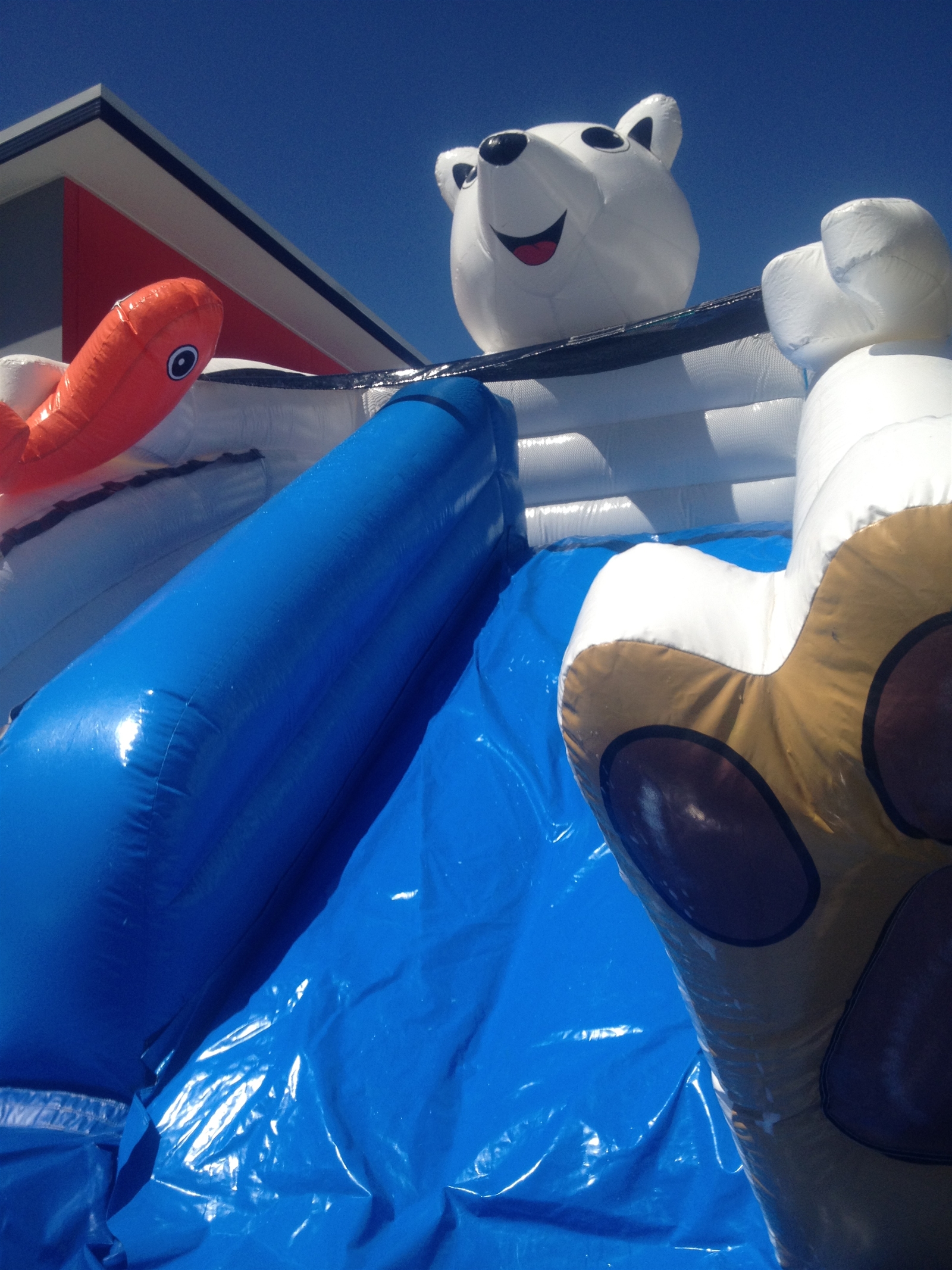 Glacier Medium Water Slide Jumping Castle Hire in Mackay