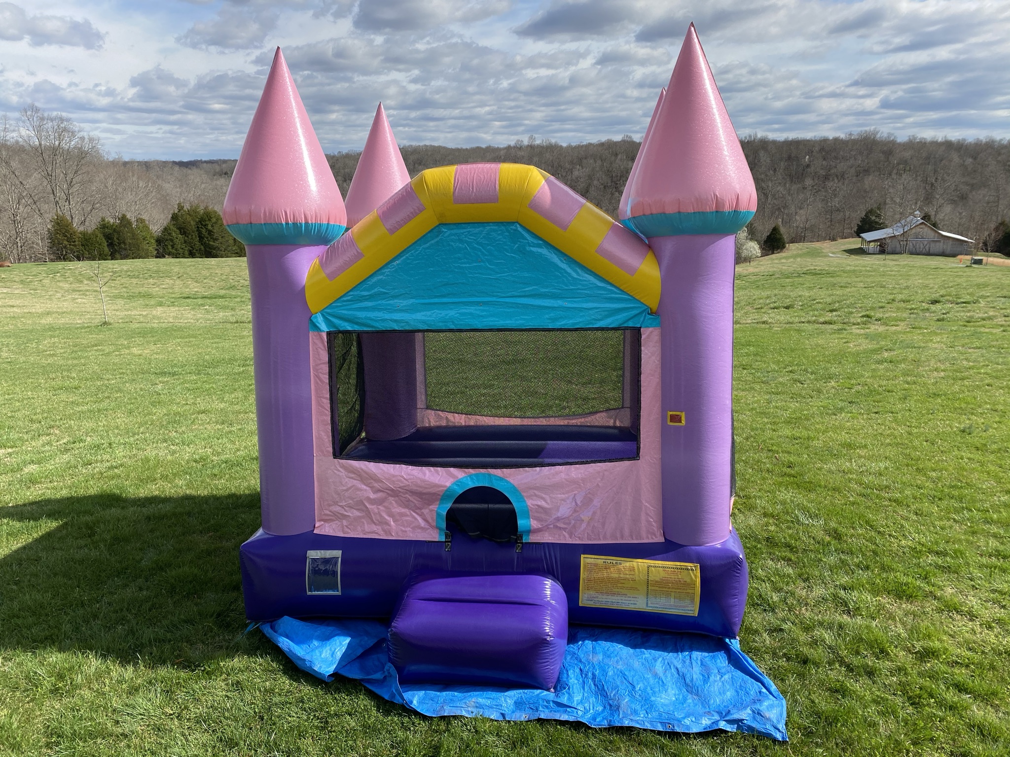 Dream Castle Bouncy Castle