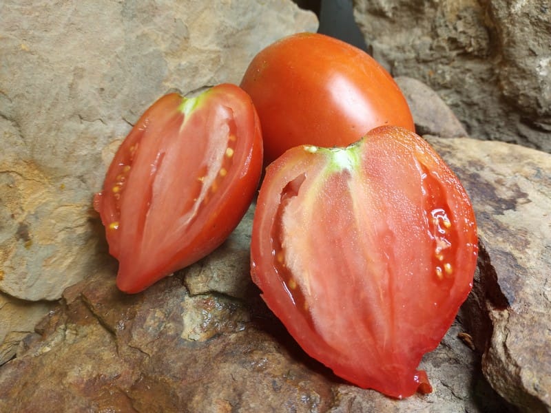 Amish Paste TomatoBounty Hunter SeedsHeirloom Tomato Seeds
