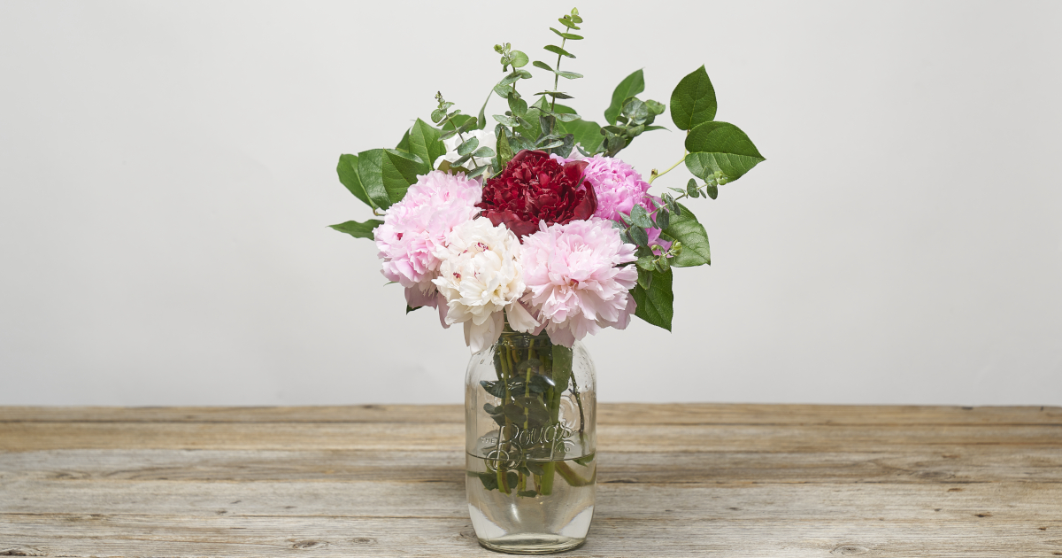 How Much Water Should You Put In a Vase? Bouqs Blog